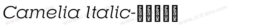 Camelia Italic字体转换